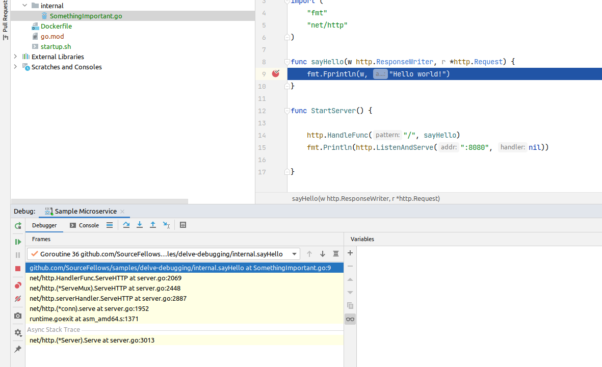 GoLand/IntelliJ Debugging